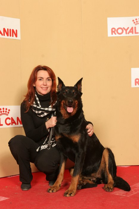 Birmane De Montclea (25)